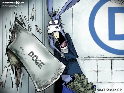 image_2025-02-18_195738694