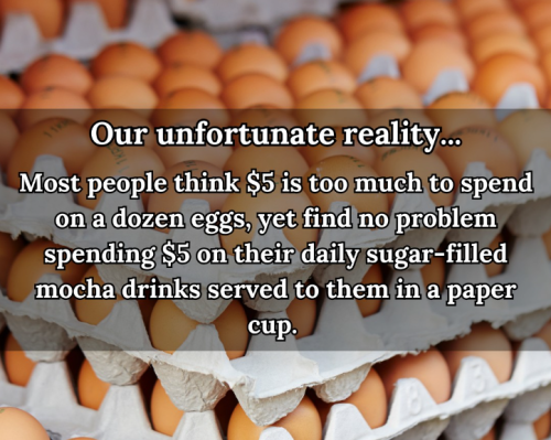 Screenshot 2025-02-12 054131