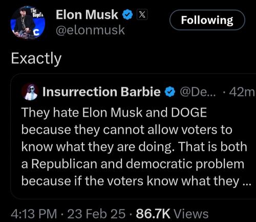 Musk 1