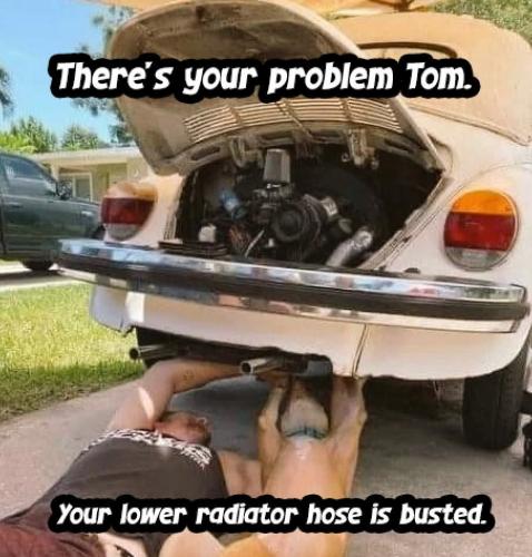 FB_IMG_1739067283198