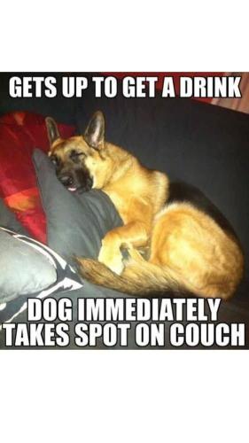 FB_IMG_1738334429165