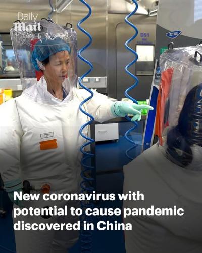 FB_IMG_1740240388649