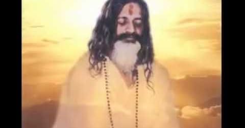 ,     ,       273410949_71196934381