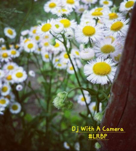 Screenshot_20250224_064009_Gallery