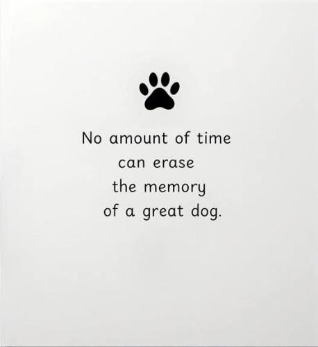 FB_IMG_1738980760134