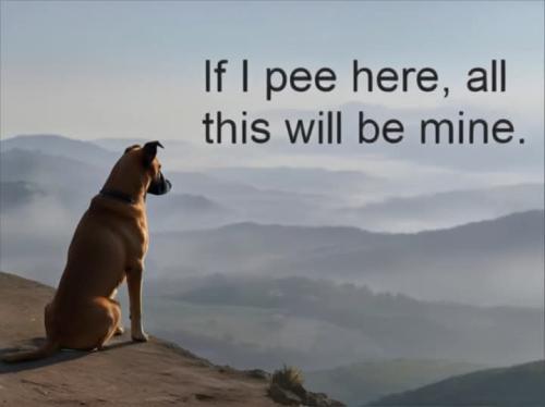 FB_IMG_1740347045090