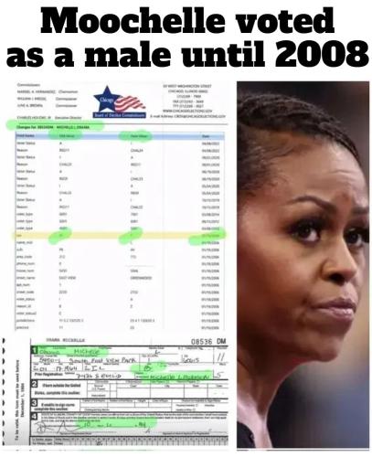 Moochelle voted as a male until 2008.960px