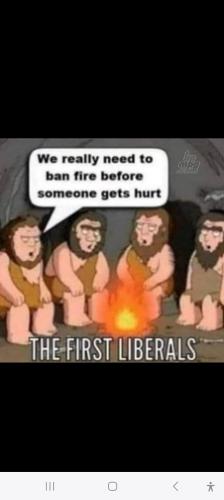 Screenshot_20250223_160232_Wimkin Free Speech Social Media