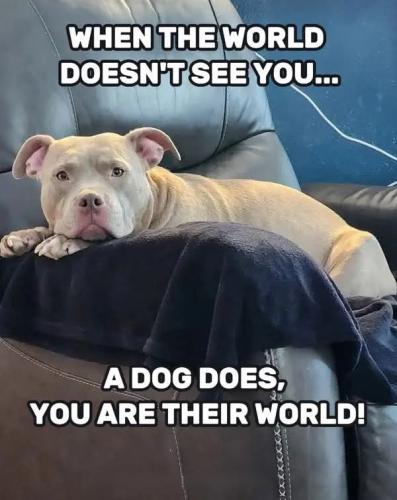 FB_IMG_1738760341713