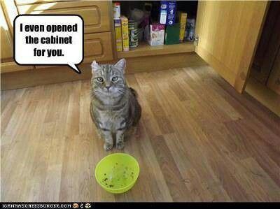 58b39f48b19b7265e1736513a9e0ee8f