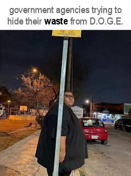 government efficiency17