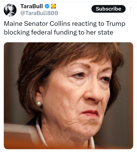 Screenshot_20250220-213656