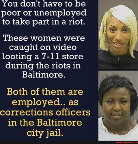 c1f6192e92d7dbdd0ea7b3d2ac0cde5917c15fccd5fecb3955e19e1ee55d4b15_1