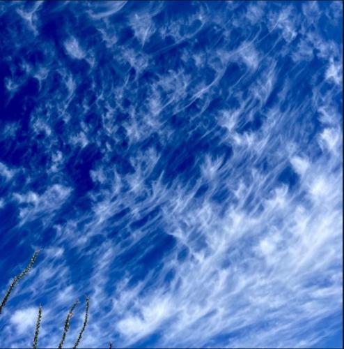 0774eb49-5270-4866-b45a-08ece45b9d30