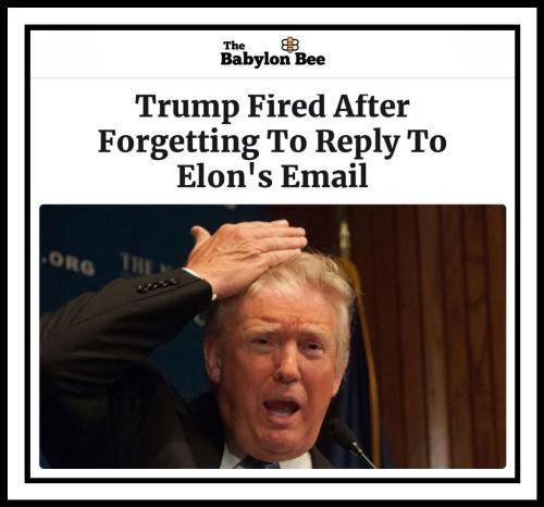 image_7F010174-02C1-4DCA-B210-7E15C722368A