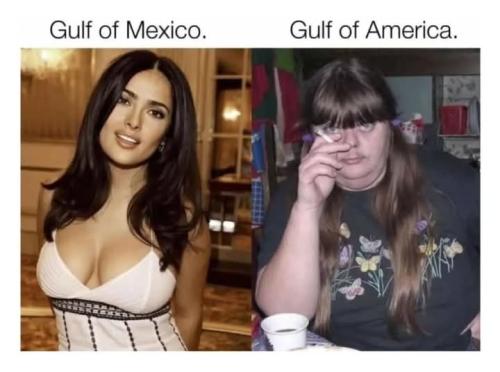 FB_IMG_1739732380718