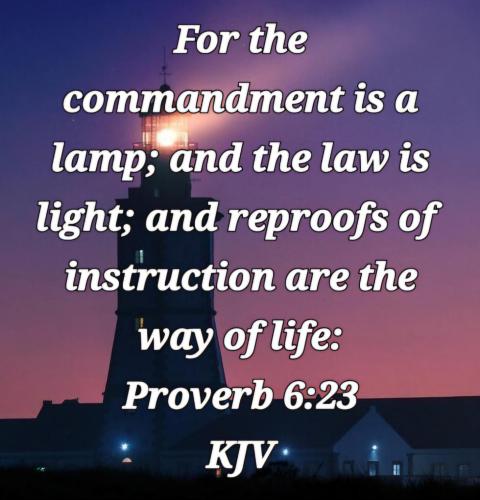 7752e93b-926c-4713-a79b-e6bb1ea44534