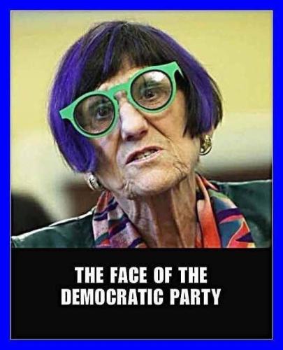 the face of the demokkkrat party