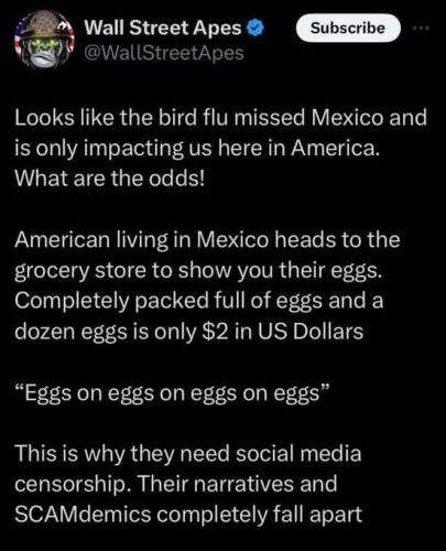 image_3B38AEFB-CCEE-44F7-AAC8-0A6FB9A6D85C