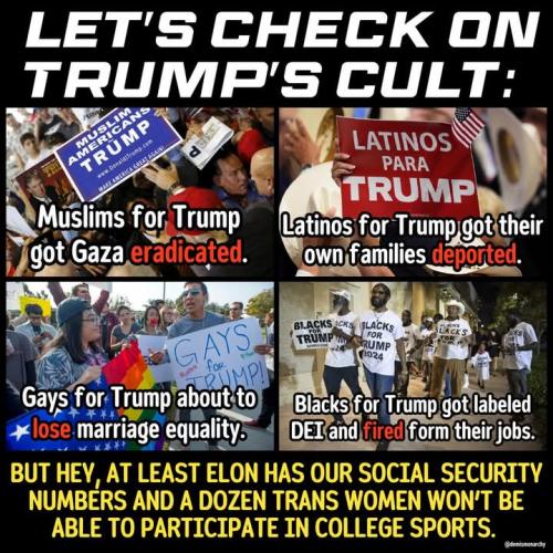 FB_IMG_1739030337062