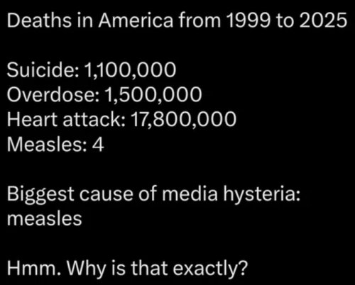 image_2025-02-28_064832855