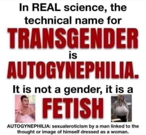 FB_IMG_1740491331519