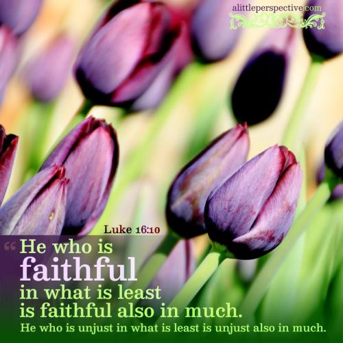 luk-16-10-pixabay-9x