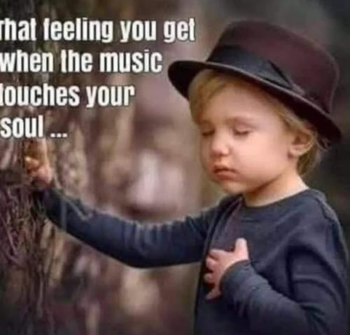 Screenshot_20250222_065356_Gallery