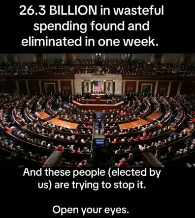 government efficiency13