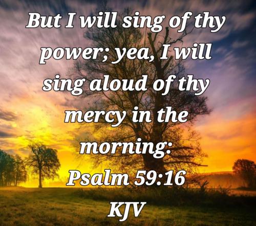 91e3efc3-0e33-4176-b3c5-6f239cc74386