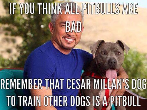 32344824911_9b7059ec78