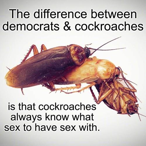 difference between democrats & cockroaches.