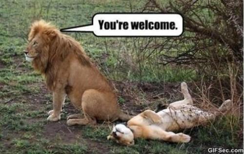 image_8FE242AD-B13D-450E-BF6B-6A82C5371993