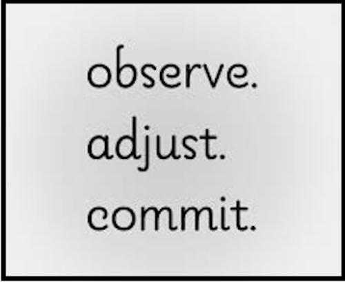 1-Observe