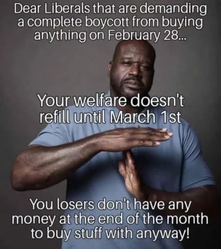 image_2025-02-28_055407340