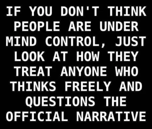 image_2025-02-05_064249950