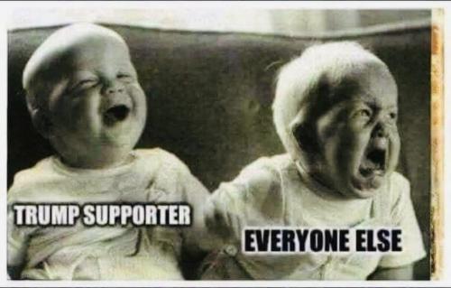 image_426B17BC-4A11-4A5B-BB1D-962025E60790