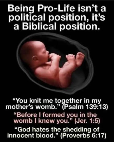 Screenshot_20250203_165909_Facebook