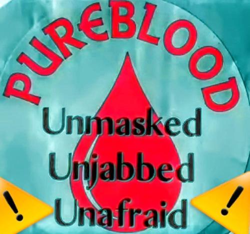 FB_IMG_1739468670504