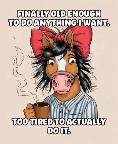 FB_IMG_1739067243125