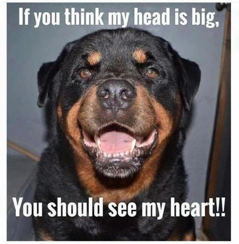 FB_IMG_1740073447183