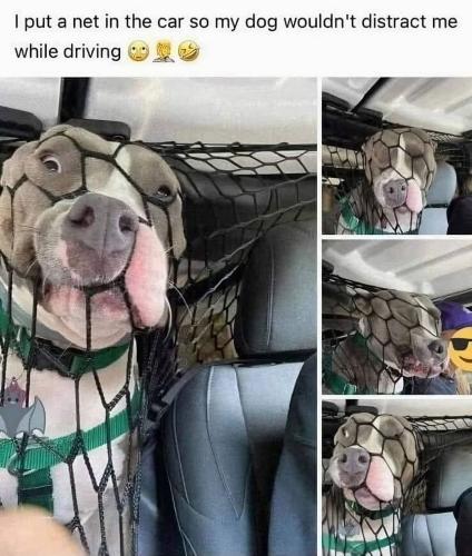 FB_IMG_1740596153134