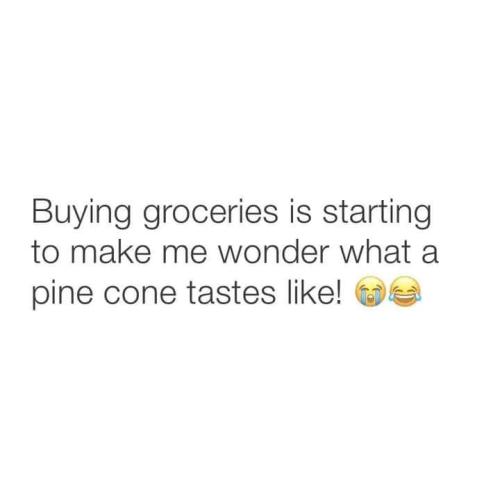 FB_IMG_1739915874519