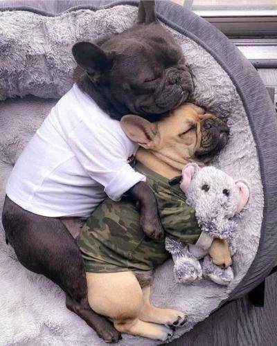 FB_IMG_1739637177349