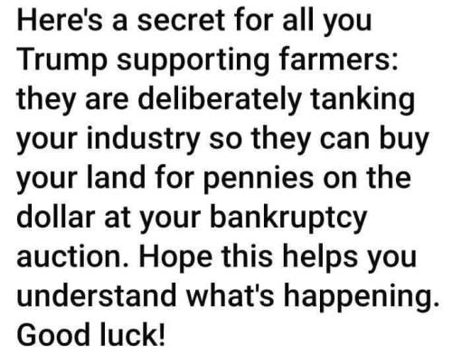 FB_IMG_1739643207321