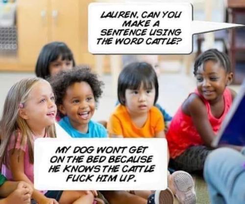 image_58475CF6-59D4-478D-9C0B-F875701B5392