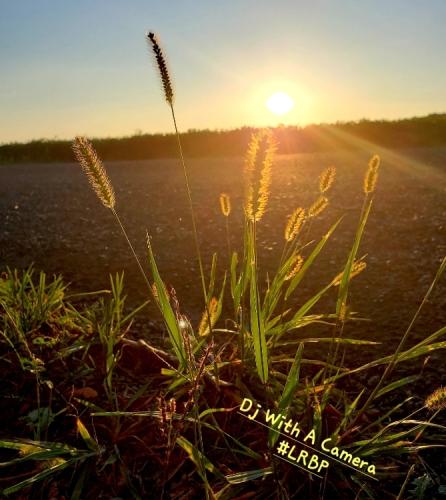 Screenshot_20250206_080236_Gallery