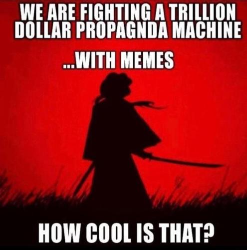 IMG_20250213_105209_443