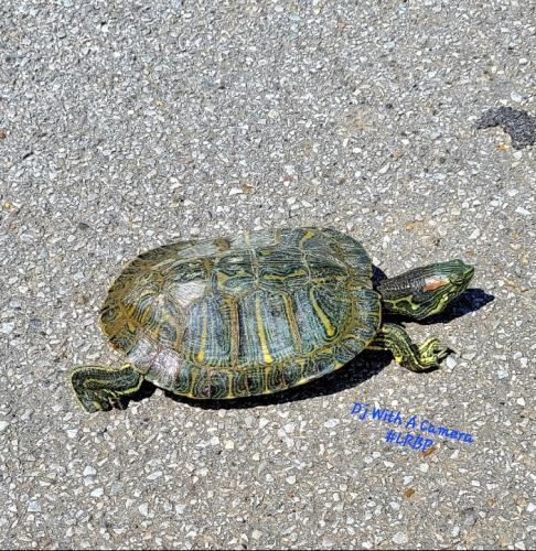 Screenshot_20250203_080108_Gallery