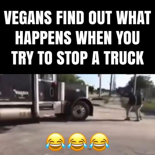 F42278D6-EC7C-4114-88B9-636371E90BCC